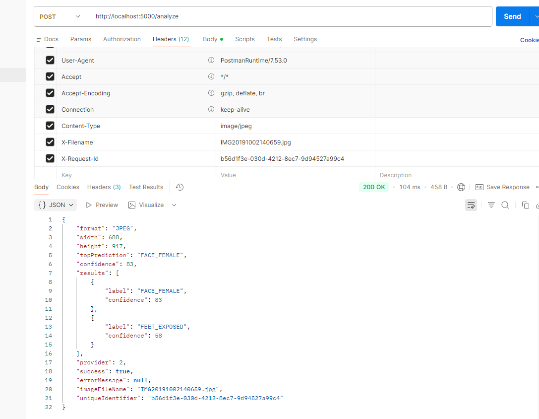 REST API illustration for local scanning